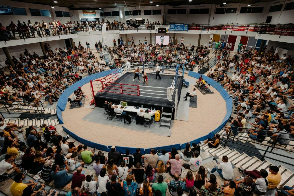 Boxeo Diario Palmero