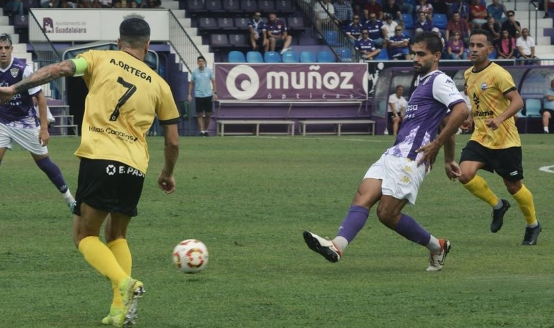 Paso Diario Palmero 