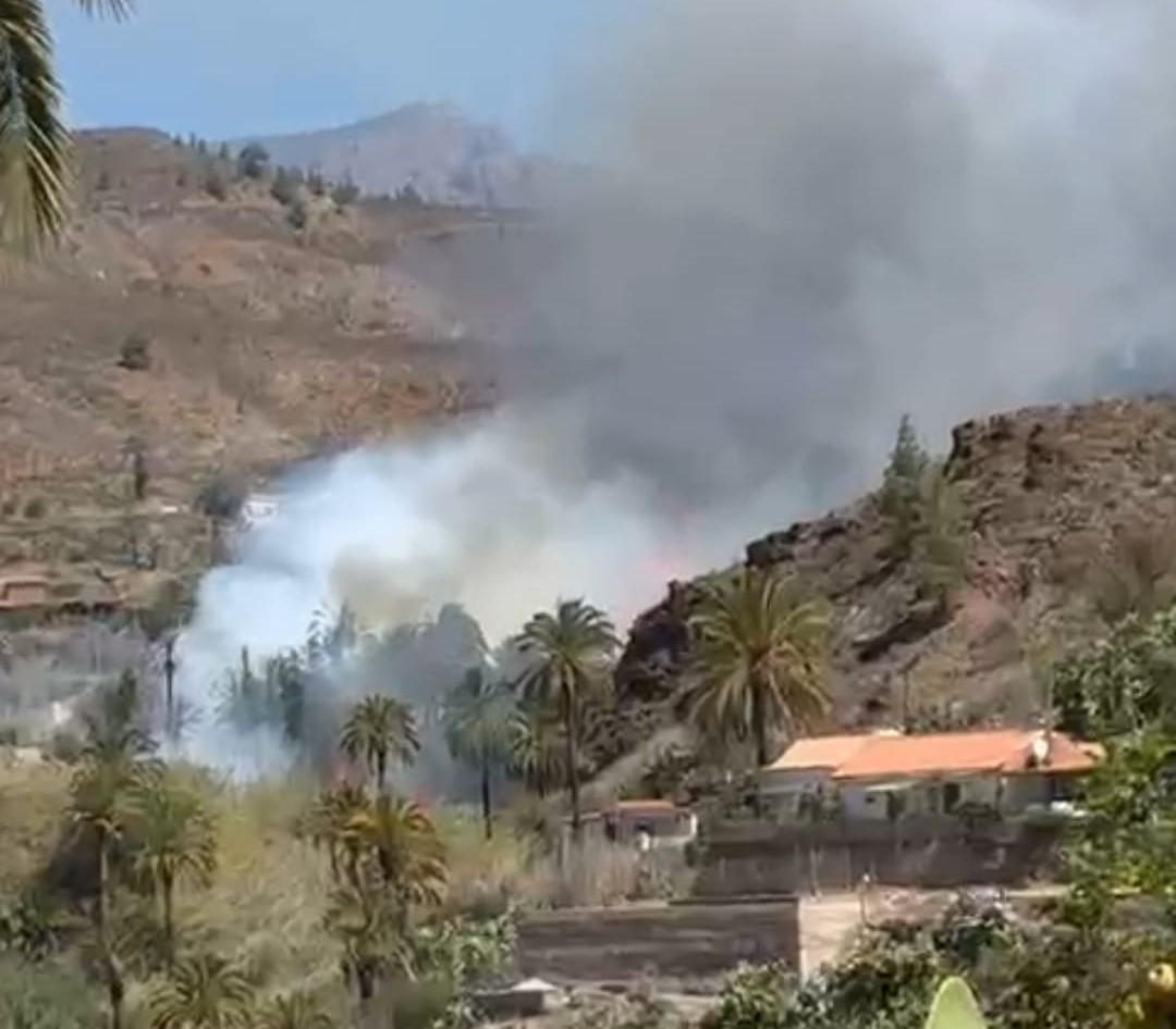 Incendio Diario Palmero 