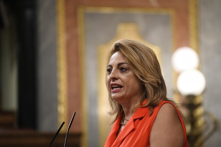 Valido Diario Palmero 