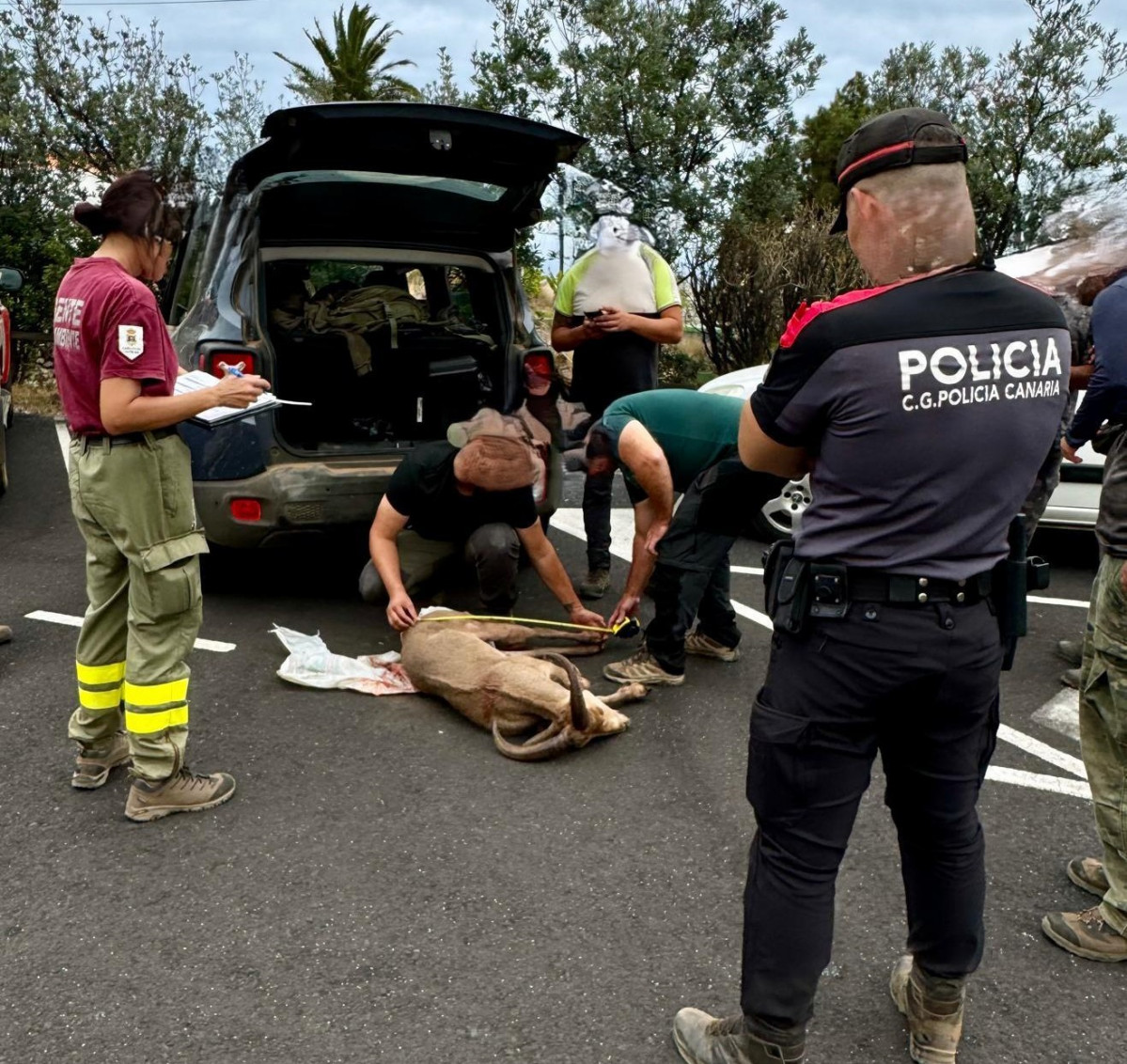 Policia la palma1