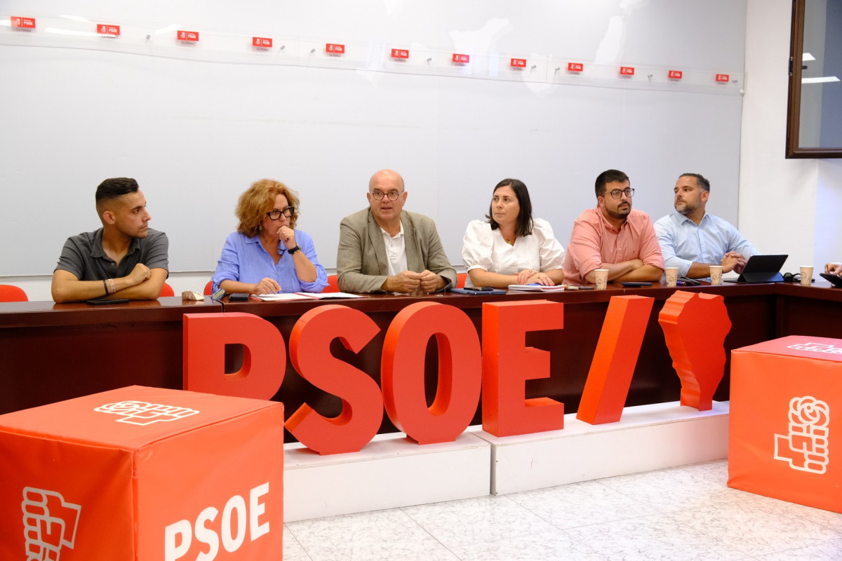 Psoe DiarioPalmero