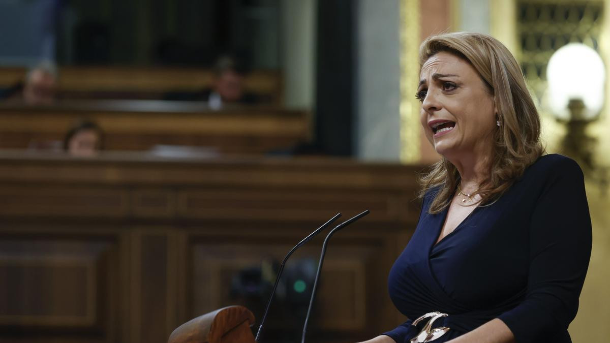 Valido Congreso Diario Palmero 