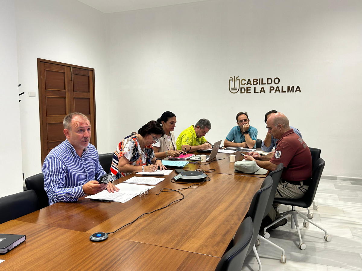 Peinpal Diario Palmero