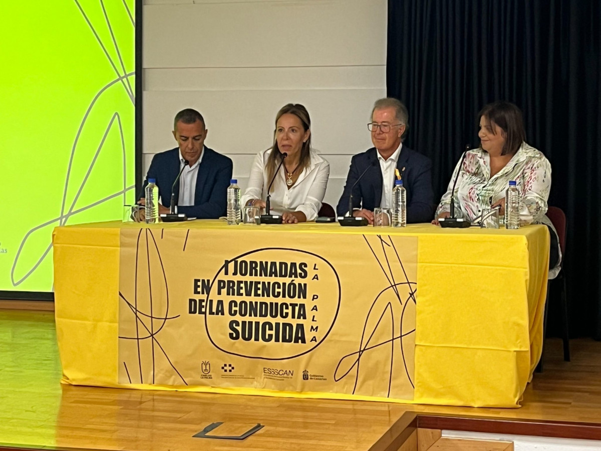 Reunion Diario Palmero