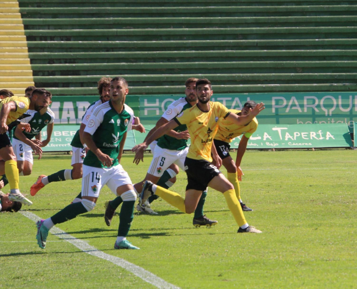Paso Diario Palmero 