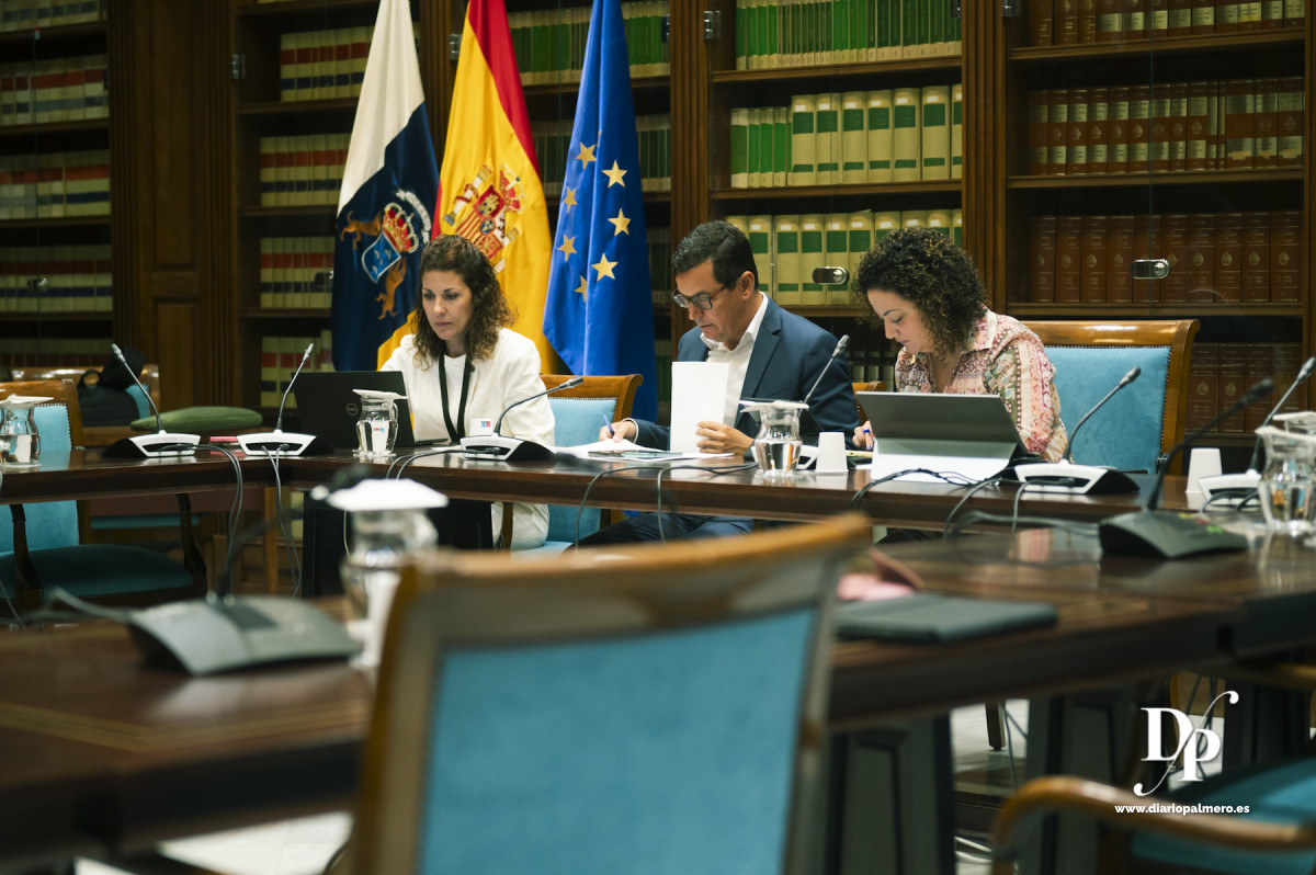 Gobierno Diario Palmero 