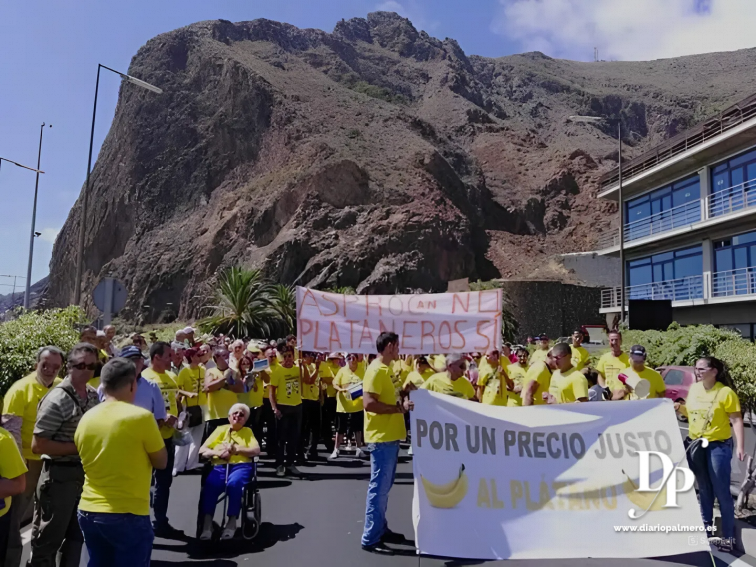 Una de las manifestaciones convocadas en La Palma por la plataforma