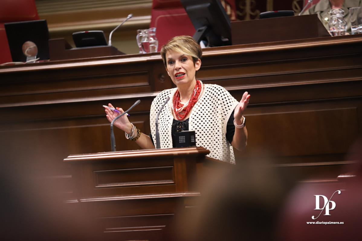 Elena Diario palmero 