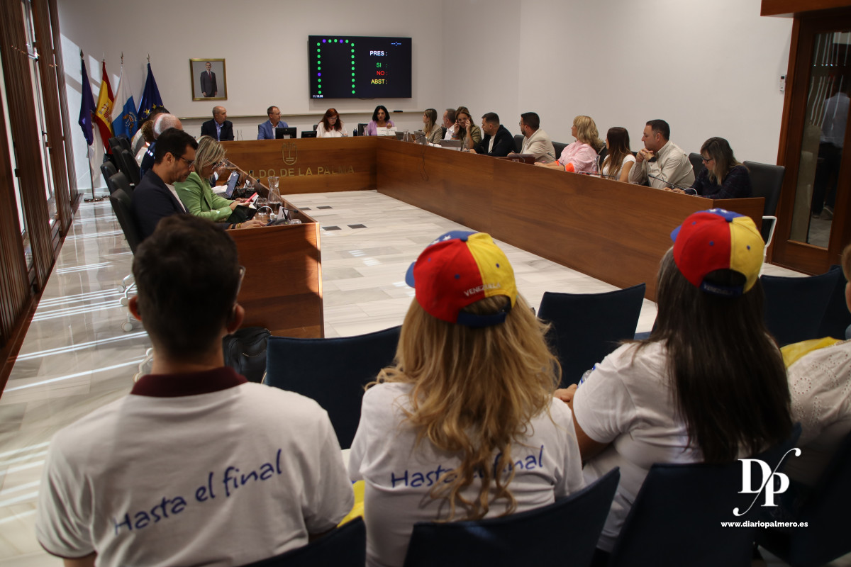 Pleno del Cabildo de La Palma Diario Palmero