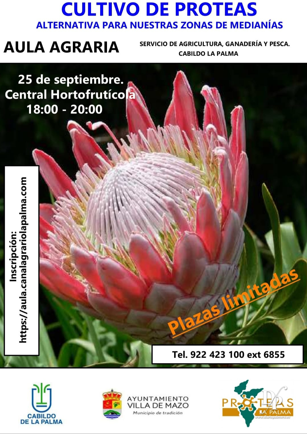 Formaciu00f3n proteas