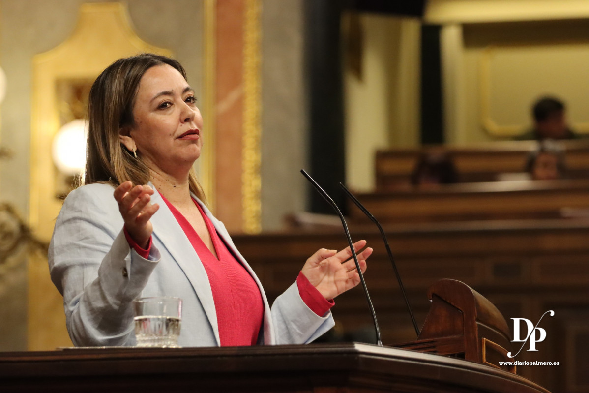 Psoe Diario palmero 