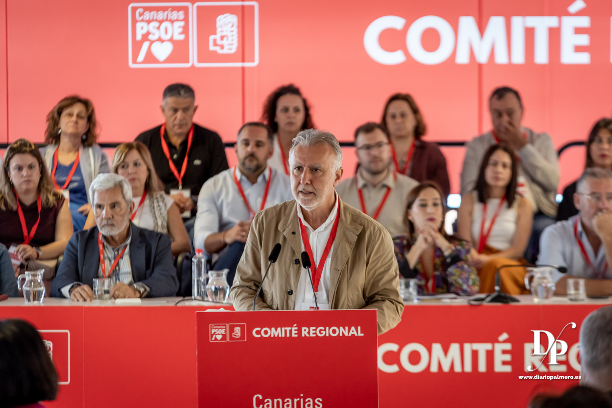 Psoe Canarias Diario Palmero 