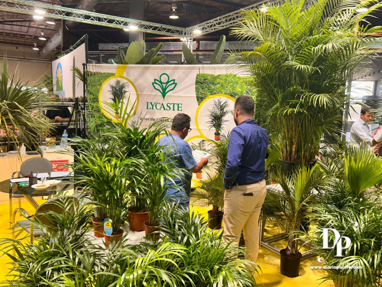 Iberflora 1