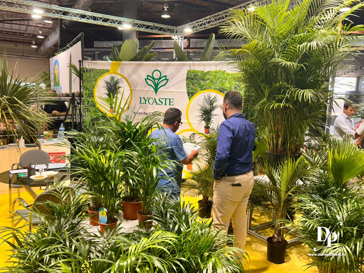 Iberflora 1