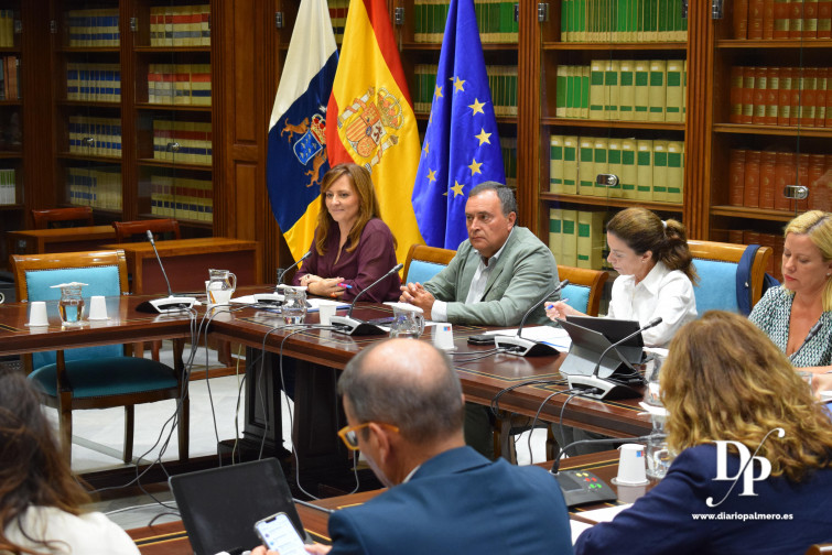 041024 Nieves Lady Barreto comparece ante la Comisión de Gobernación