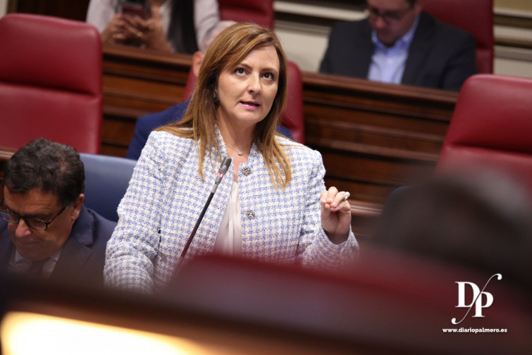 081024 Nieves Lady Barreto, en el Parlamento de Canarias