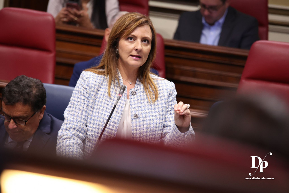 081024 Nieves Lady Barreto, en el Parlamento de Canarias