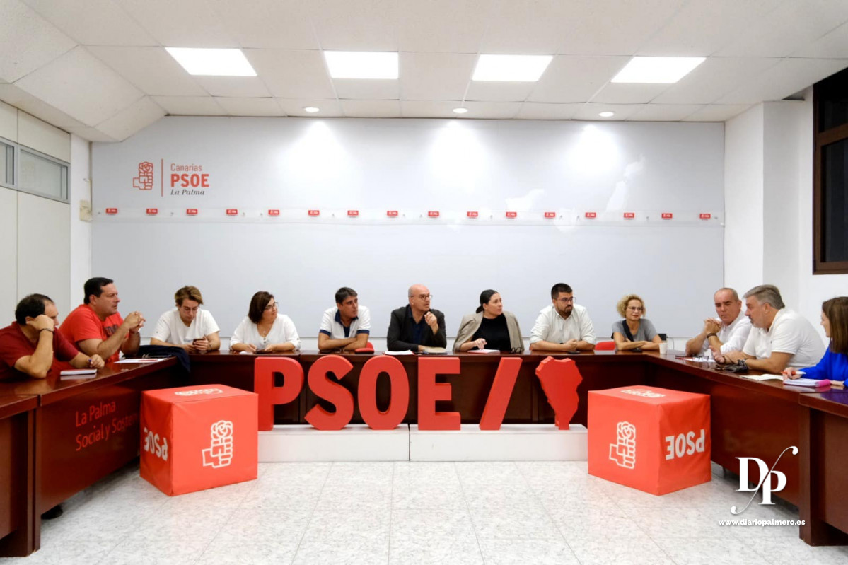 Ejecutiva Psoe Diario Palmero 