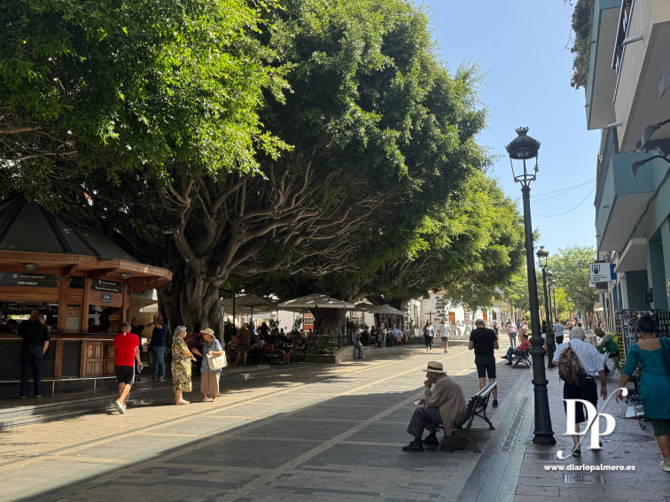 Zona Comercial Abierta Los Llanos de Aridane (1)
