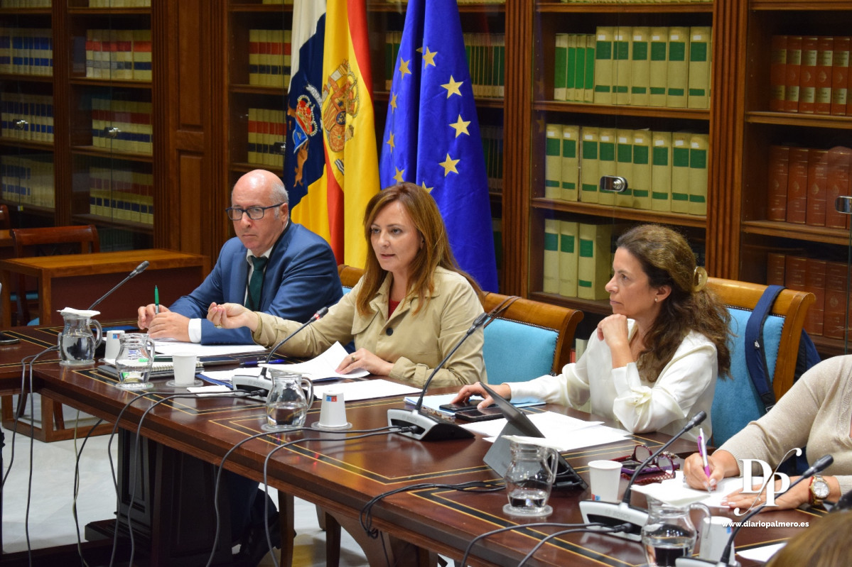 171024 Nieves Lady Barreto, junto al viceconsejero de Justicia, en la comisiu00f3n celebrada hoy