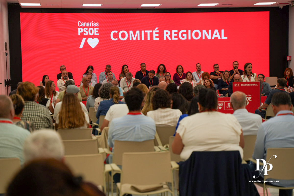 241018 gc comiteregionalpsoe 1