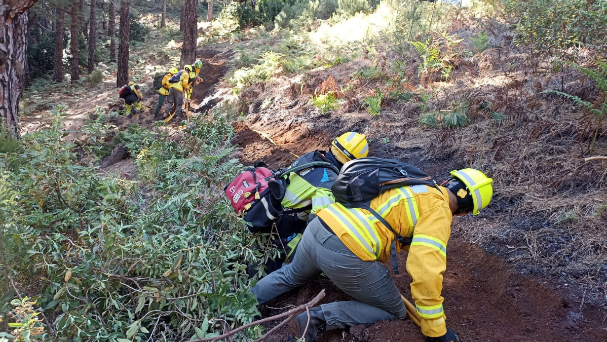 Brigadistas de los EIRIF y Sapadores Florestais de Madeira 1