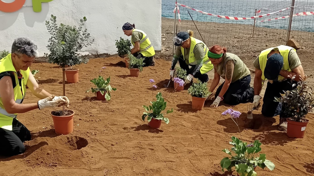 Detalle de un instante del trabajo realizado por algunas de las personas del equipo PFE Otra Vez Verde de Santa Cruz de La Palma durante su formaciu00f3n