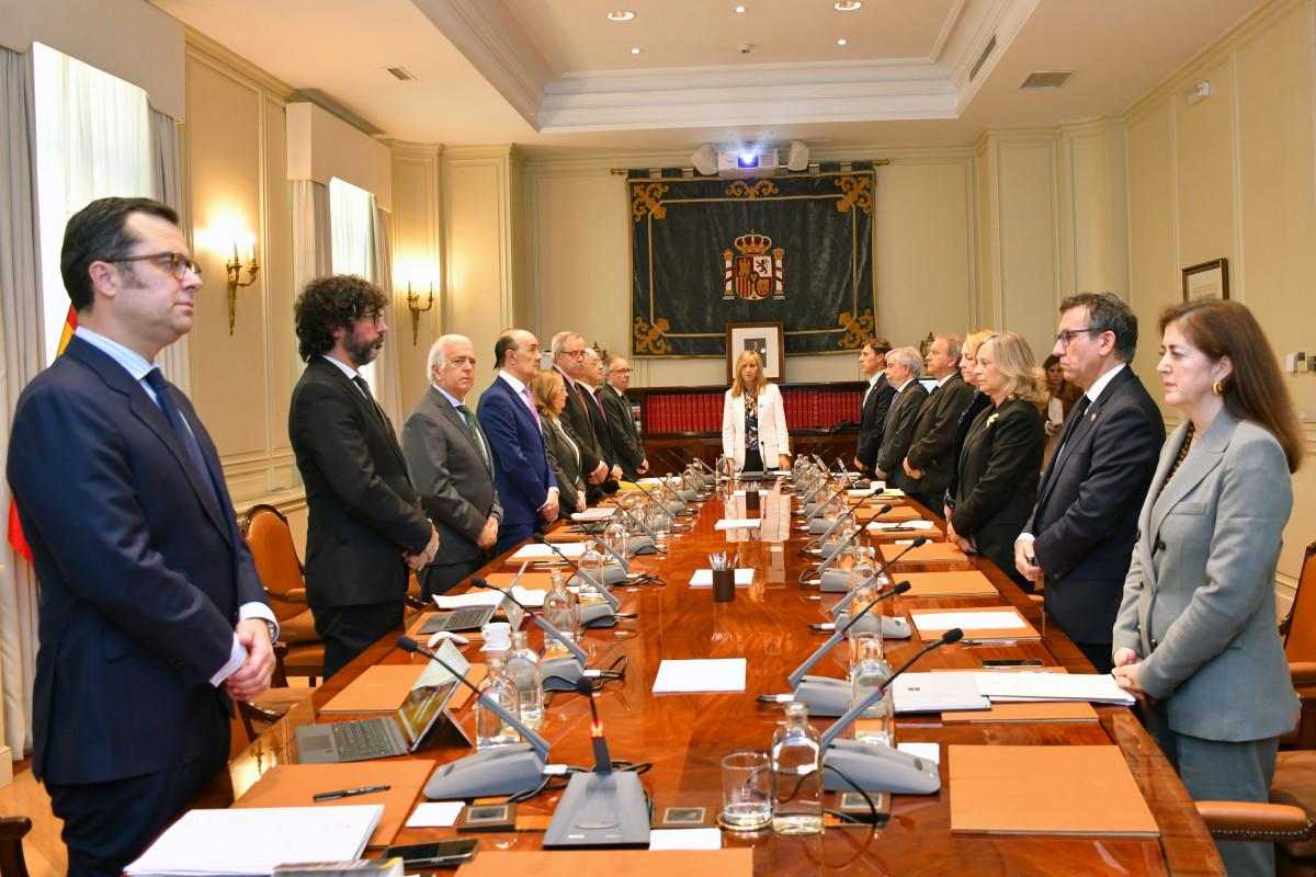 Pleno 6nov2024 2