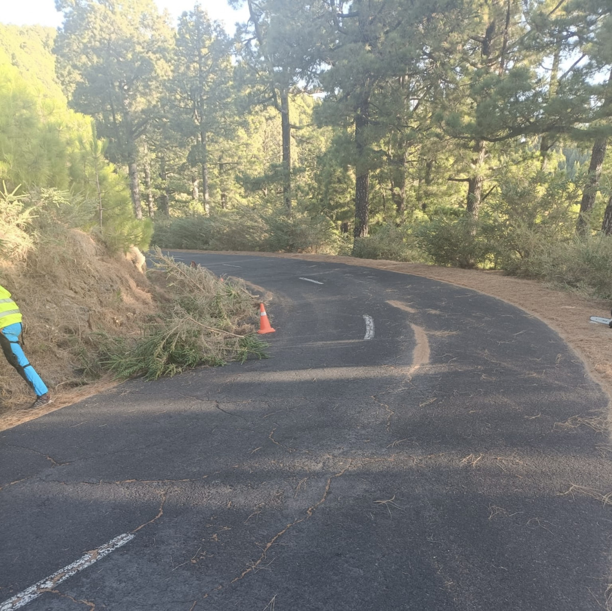 Limpieza carreteras