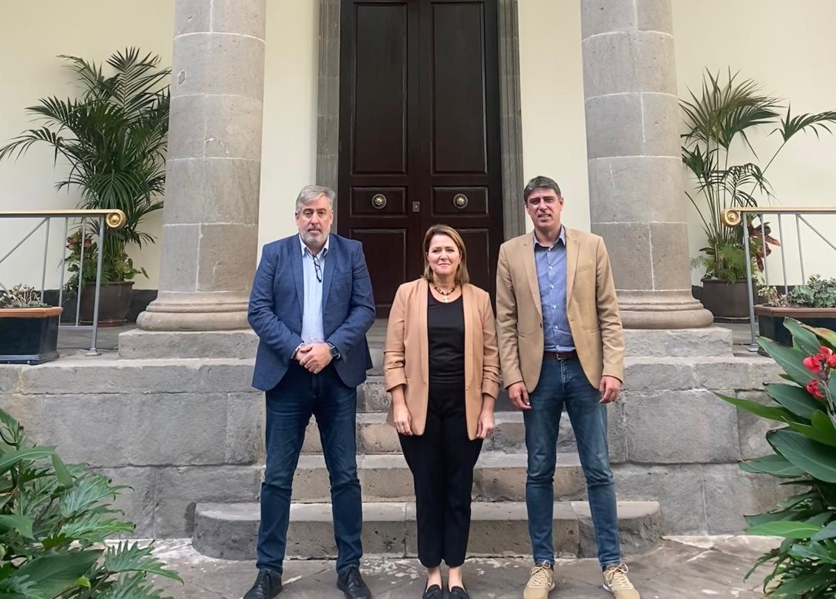DIPUTADOS LA PALMA