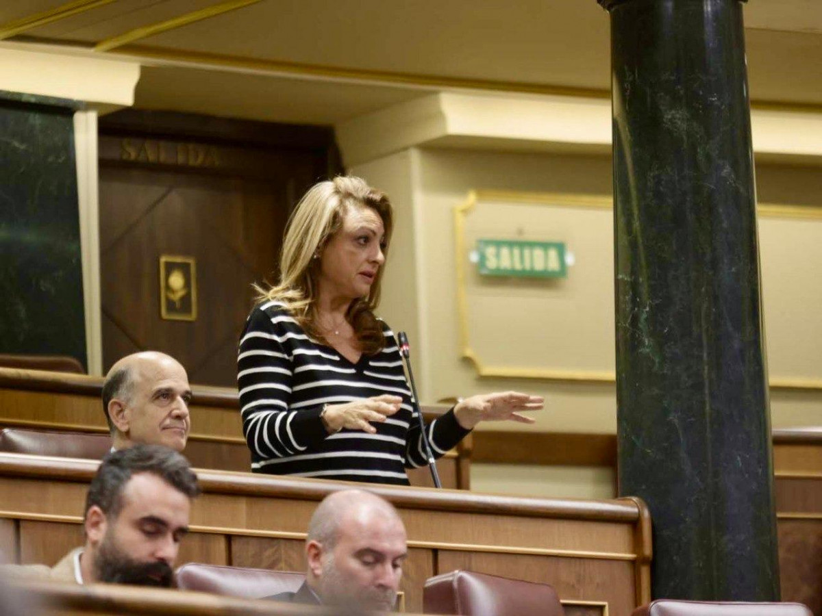 Cristina Valido pleno Congreso 111224