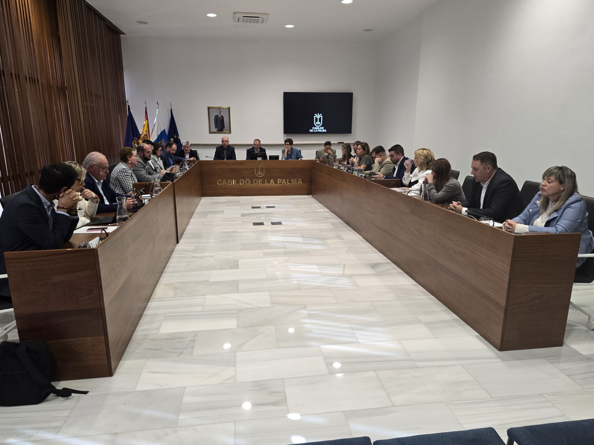 Pleno Ordinario