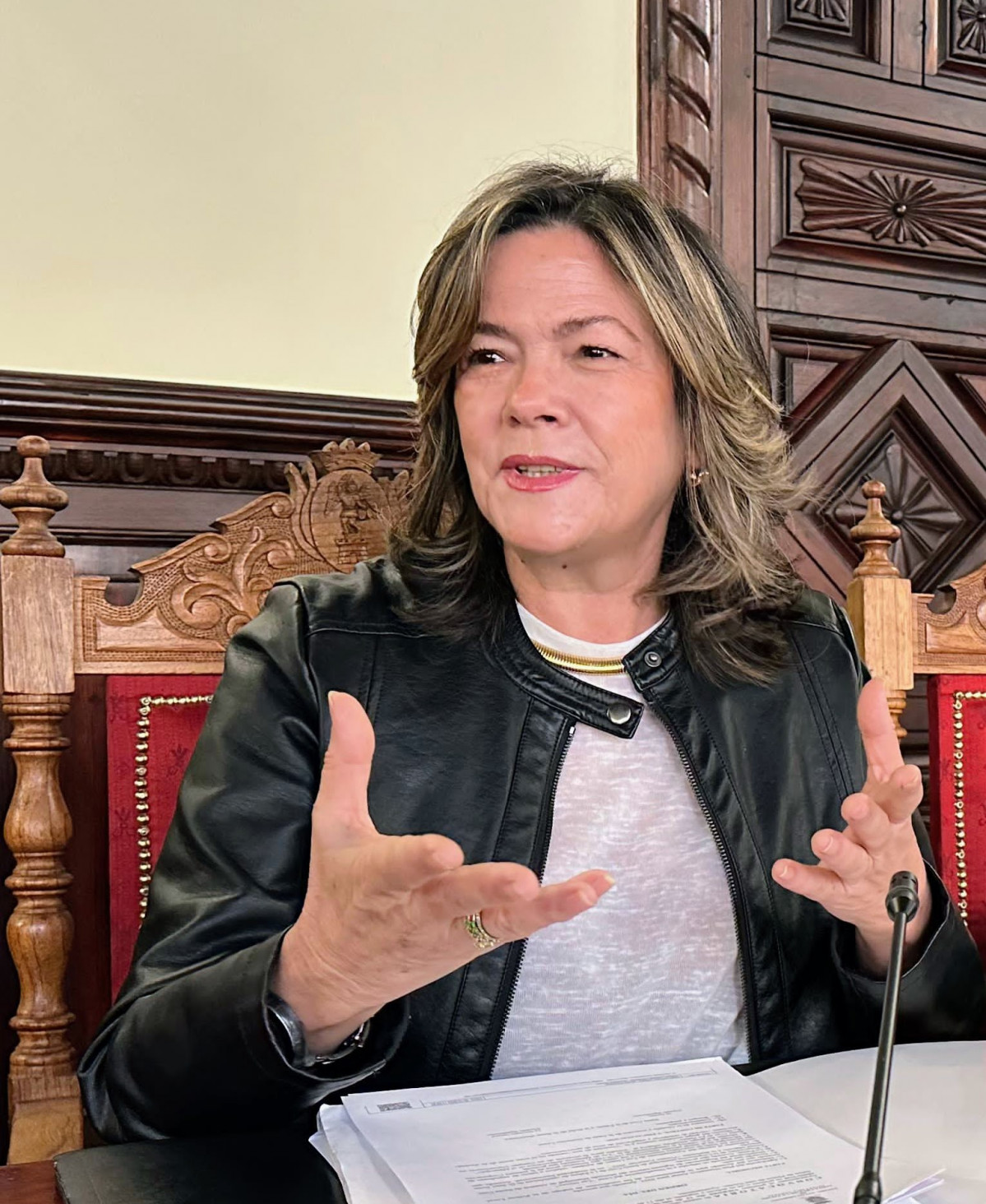 FOTO EN EL SALON DE PLENOS 2025