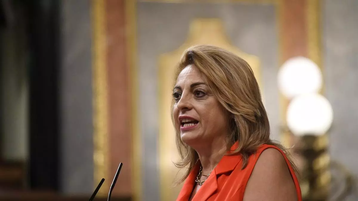 Valido pleno 17 julio 24
