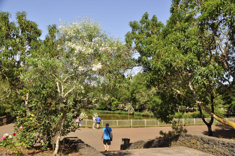 Parque recreativo La Laguna de Barlovento