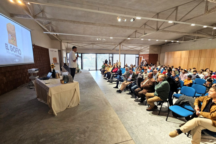 FOTO. Educación se suma al proyecto ‘El gofio, desayuno olímpico’ (3)