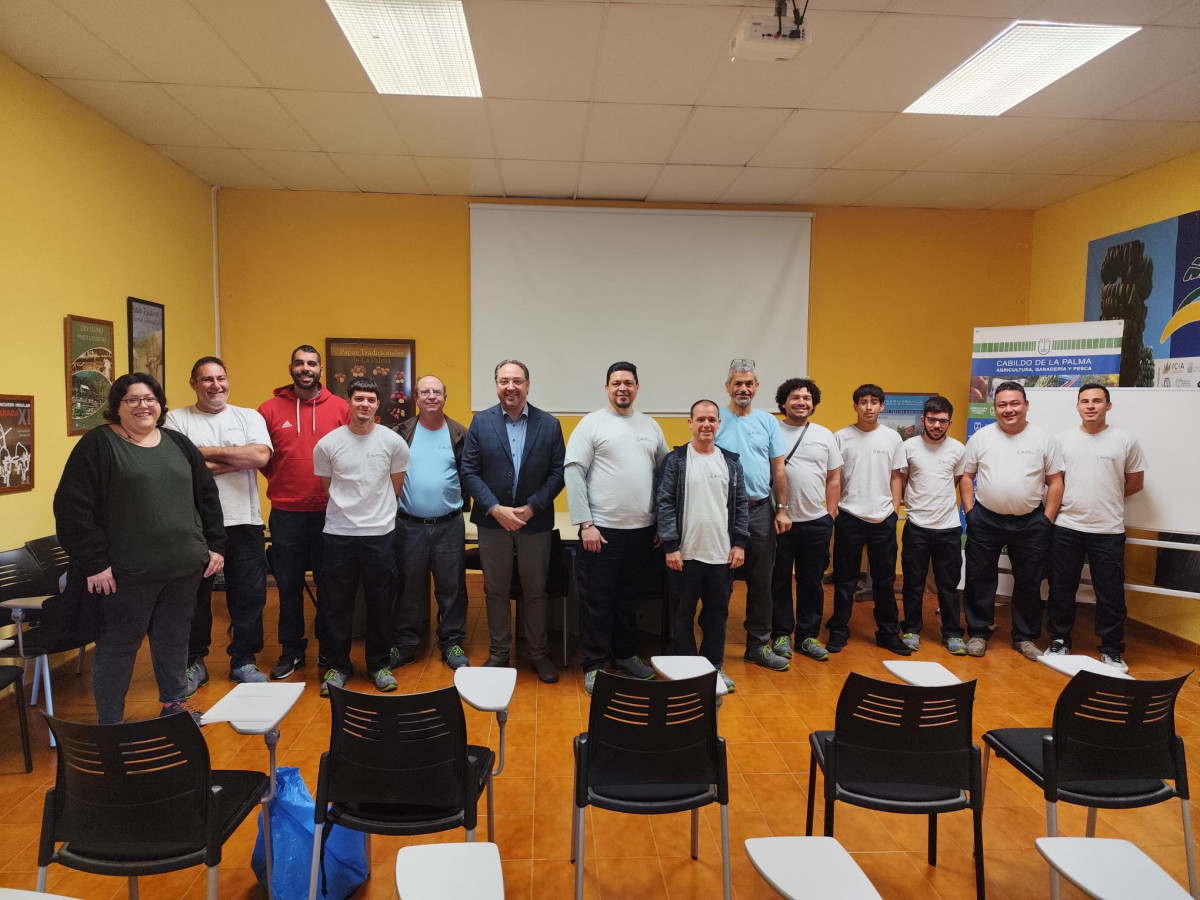 Formaciu00f3n desempleados