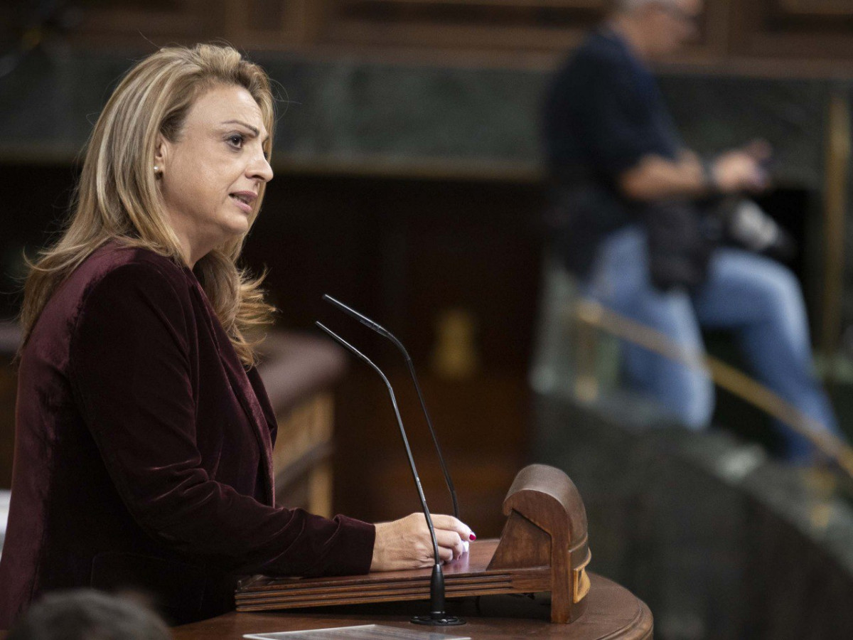 Cristina Valido pleno 271124