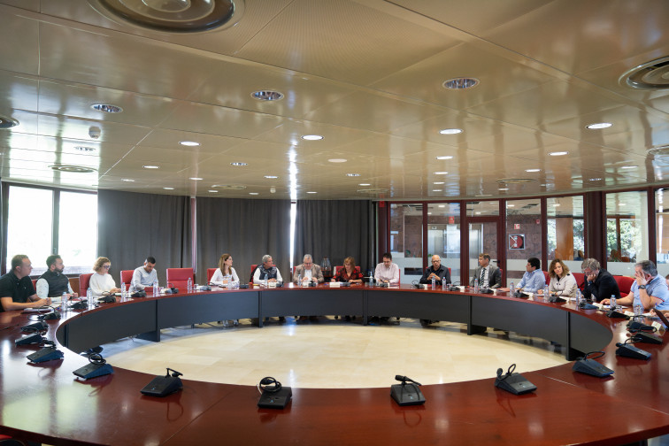 280325 Reunión entre Cabildo de La Gomera, VISOCAN y ayuntamientos de la isla