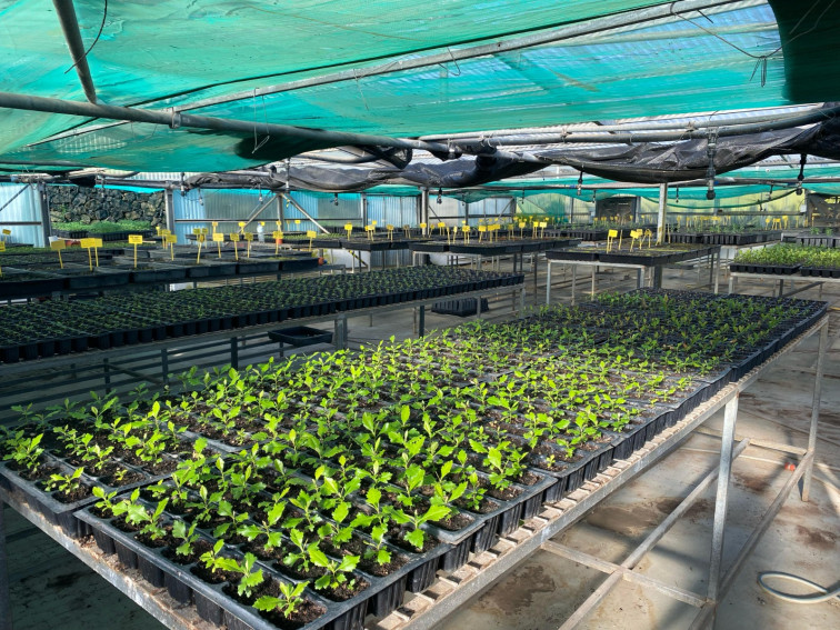 Mejoras vivero 2