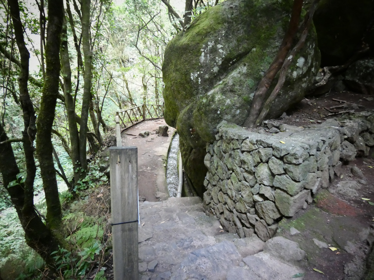 P1190039