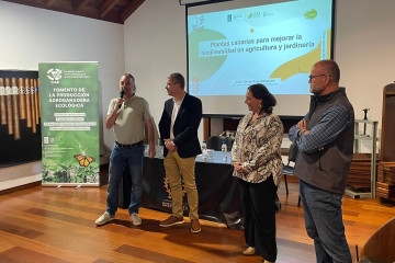 Plantas canarias agricultura