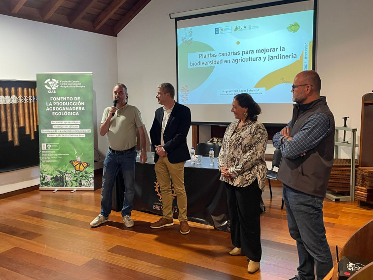 Plantas canarias agricultura