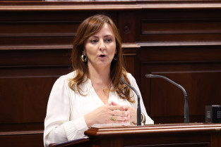 290425 Nieves Lady Barreto durante su comparencia en el Pleno