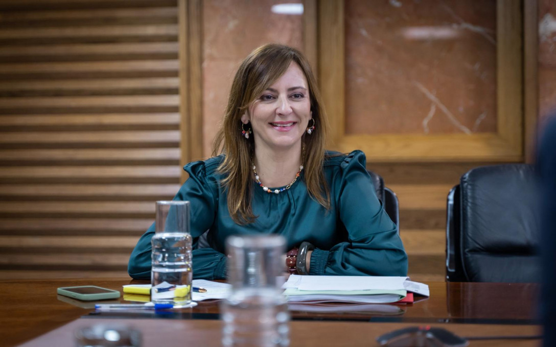 Nieves Lady Barreto, consejera de Presidencia, durante un Consejo de Gobierno