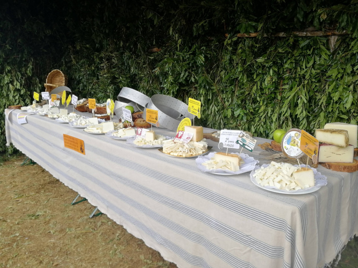 CONCURSO INSULAR  DE QUESOS ARTESANALES DE SAN ANTONIO DEL MONTE