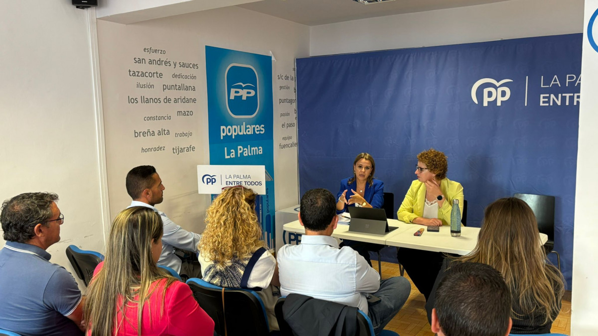 PP DE LA PALMA REUNIu00d3N SECTORIAL VIVIENDA