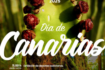 NP 20250526 DIA DE CANARIAS EL PASO
