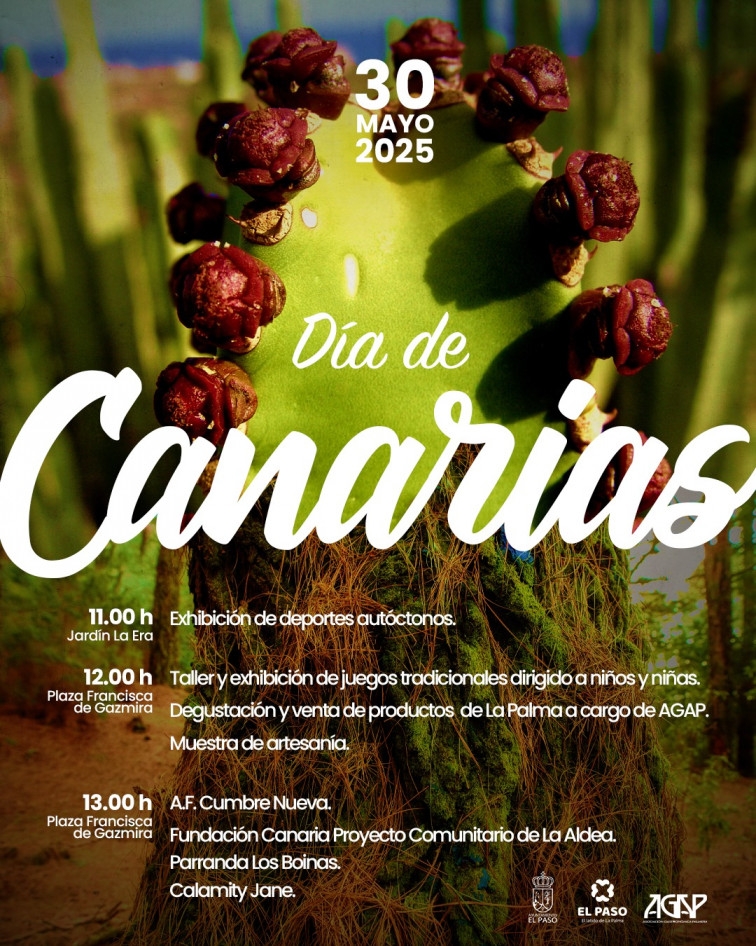 NP 20250526 DIA DE CANARIAS EL PASO
